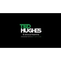 Tedhughes consultants