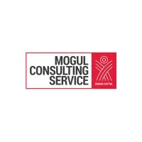 Mogul Consulting and Service LLC
