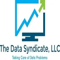 The Data Syndicate