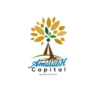 Amalabh Capital Limited 