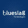 Blueslag Technologies l Shopify Partner Agency Blueslag Technologies l Shopify Partner Agency