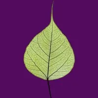 Deltatika Enterprise