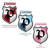 PLATINUM COATING OF NC