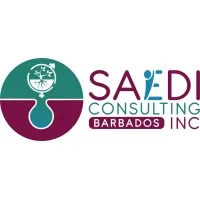 SAEDI Consulting