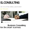 EL Consulting EL Consulting