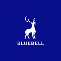 BlueBell Securities Company Limited