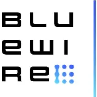 Bluewire LLC