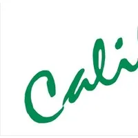 California Lighting Concepts