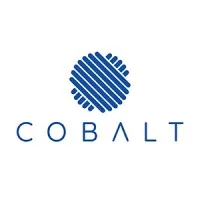 Cobalt Fashion