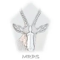 Metallurgical Reductant Products & Services (Pty) Ltd