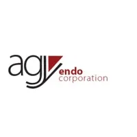 AGY ENDO Corporation