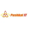 Pushkal IT Solution Pushkal IT Solution