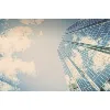 Business Network Business Network