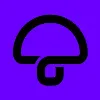 Mushroom Music Mushroom Music