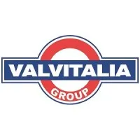 VALVITALIA GROUP