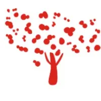 Hacettepe University Institute of Population Studies