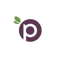 Plum Coaching & HR Consulting