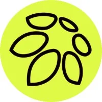 Art-Design Studio