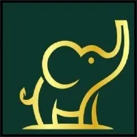 Trunk Solution 