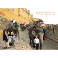 NEEM TREE PRODUCTIONS NEEM TREE PRODUCTIONS