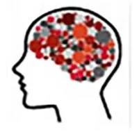 Center for Translational Cognitive Neuroscience Center for Translational Cognitive Neuroscience