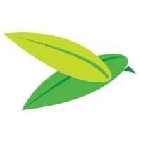 The Baya Company The Baya Company