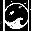 Space Ocean Corp