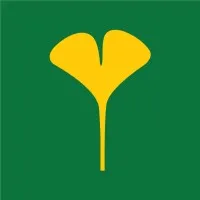 Ginkgo T-Shirts Ginkgo T-Shirts