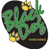 Black Dog Venture Partners
