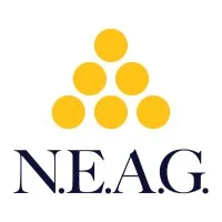 New England Appliance Group