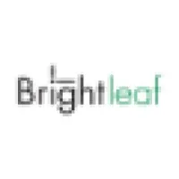 Brightleaf
