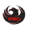 Phoenix Retail Group Phoenix Retail Group
