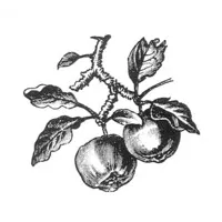 Appleton Marble & Granite Works, Inc.