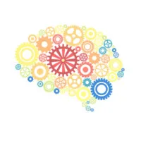 Translational Emotional Neuroscience Development (TEND) Lab