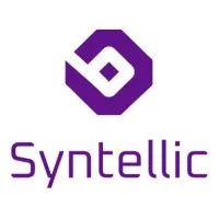 Syntellic Software Technologies