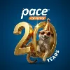 Pace Car Rental Pace Car Rental