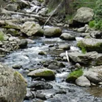 Curtis, Justus, & Zahedi, LLC