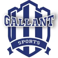 Gallant Sports India