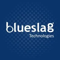 Blueslag Technologies l  Shopify Partner Agency