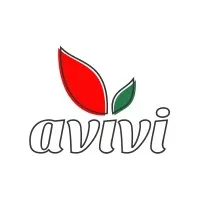 Avivi.pro email format