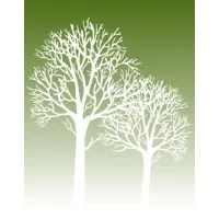 Romano & Romano Financial, LLC