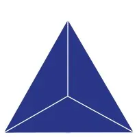 Blue Triangle Consulting