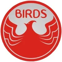 BINUS International Relations Dialectic Society (BIRDS)