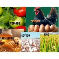 SIAYA COUNTY GOVERNMENT(NAVCDP)