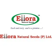 Ellora Natural Seeds Pvt Ltd Ellora Natural Seeds Pvt Ltd