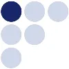 European Centre for Minority Issues (ECMI) European Centre for Minority Issues (ECMI)
