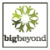 Big Beyond Big Beyond