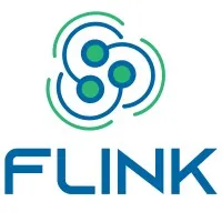 FLINK Business Solutions