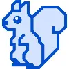 CyberNut CyberNut