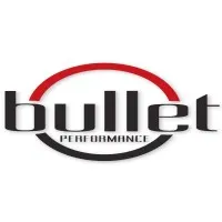 Bullet Performance Bullet Performance